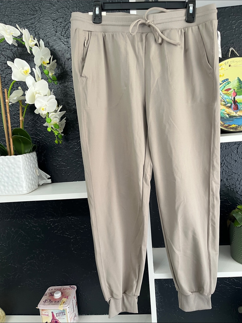 Rachel Zoe Men's Jogger Pants in Taupe